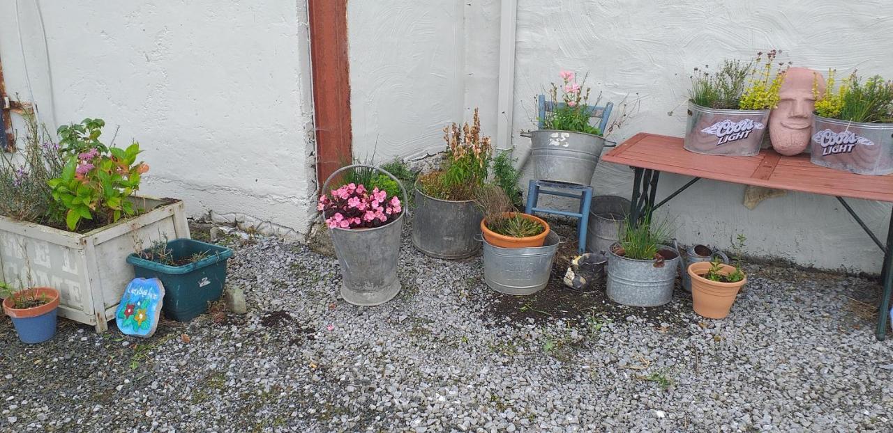 Murphy'S Irish Farmhouse Near Ballybunion Bagian luar foto